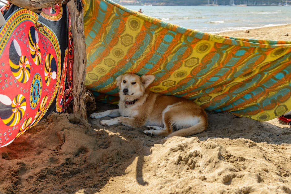 Urlaubstipps für Familien mit Hund