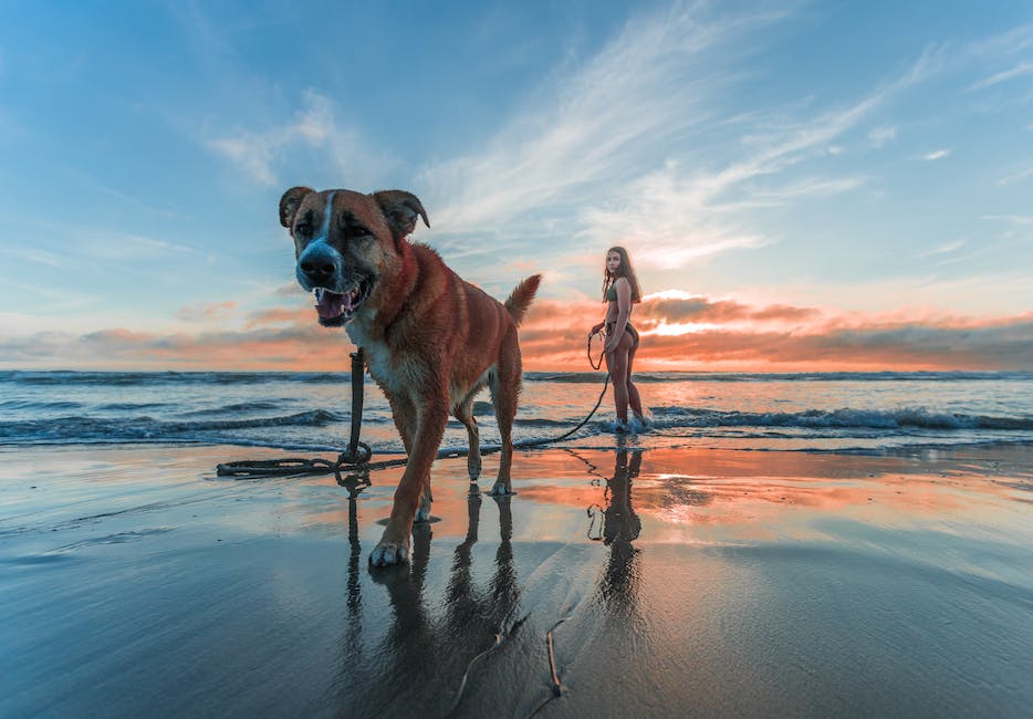 Gesundheitsrisiken in Urlaub reisen