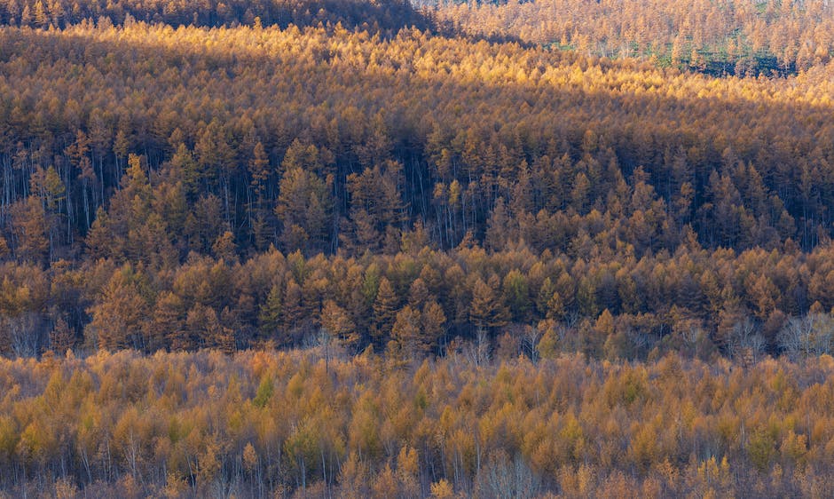 Urlaub machen im Herbst in Deutschland