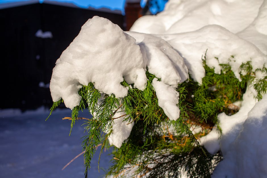  Urlaub machen in Deutschland im Winter