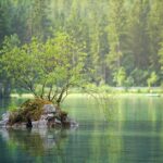 Urlaub am Gardasee - beste Lage und Sehenswürdigkeiten