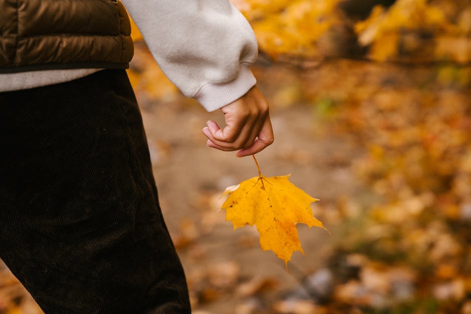  Urlaub im Oktober in warmen Regionen