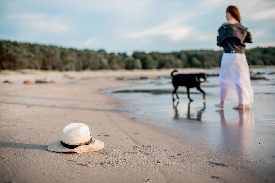 Urlaub mit Hund - wo es für alle ein schönes Abenteuer ist